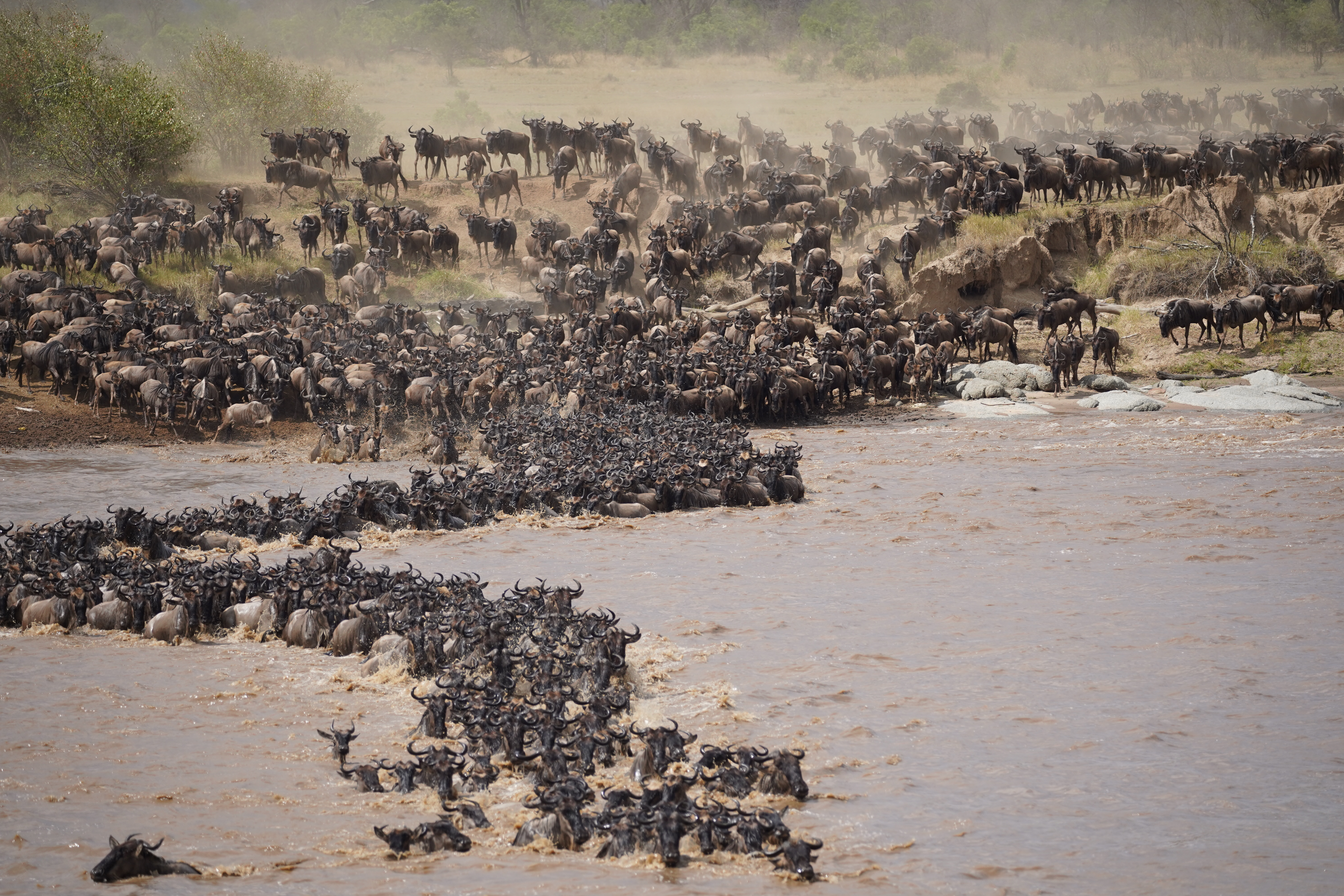 East African safaris, tailor-made to you.