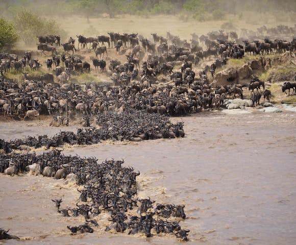 Kenya Safaris 2024/2025