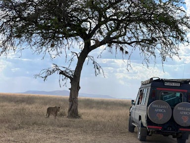 Masai Mara