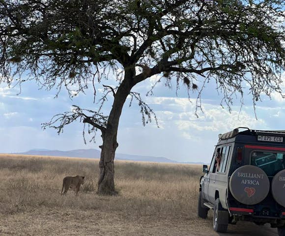 We create African adventures tailor-made to you