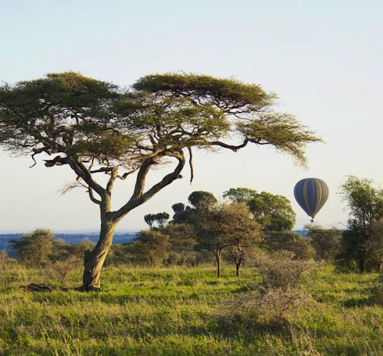 A hot-air balloon over the Tanzanian plains at sunrise