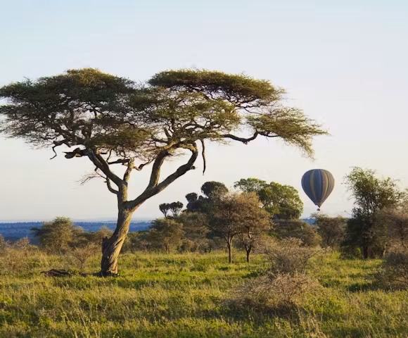 Discover East Africa
