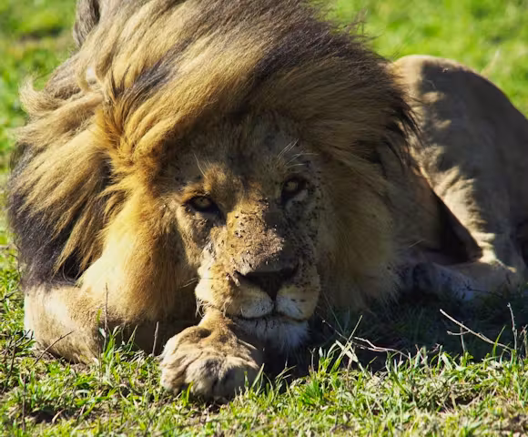 Discover East Africa