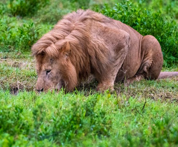 Discover East Africa