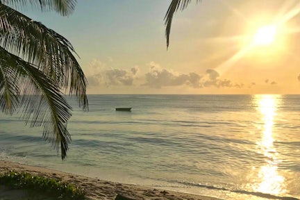 Diary from Diani Beach