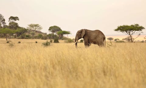 Getting There & Around