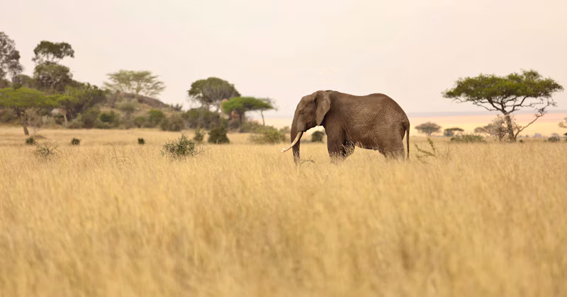 Tanzania Family Adventure