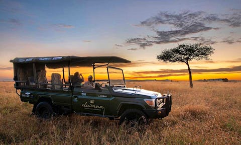 Experience: Tours & Safaris