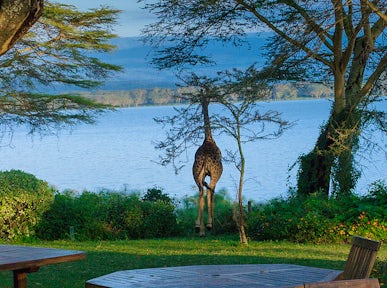 Elsamere Lodge, Kenya