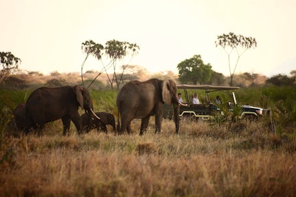 Meru National Park
