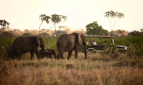 Meru National Park