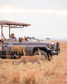 A Greener Maasai Mara