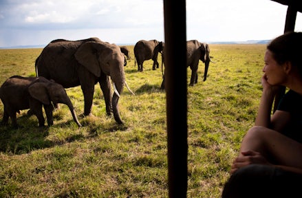 A Greener Maasai Mara