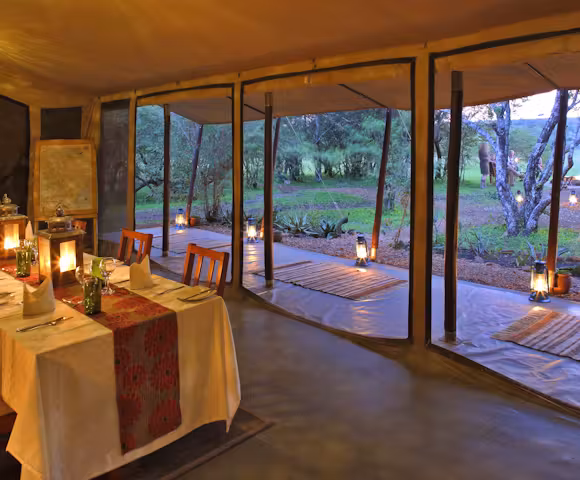 Luxury Safaris in Kenya