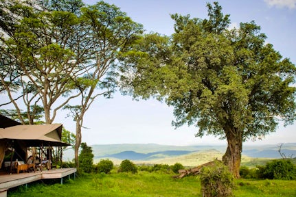 Entamanu Ngorongoro
