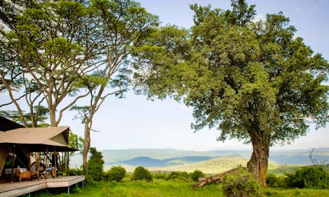 Entamanu Ngorongoro