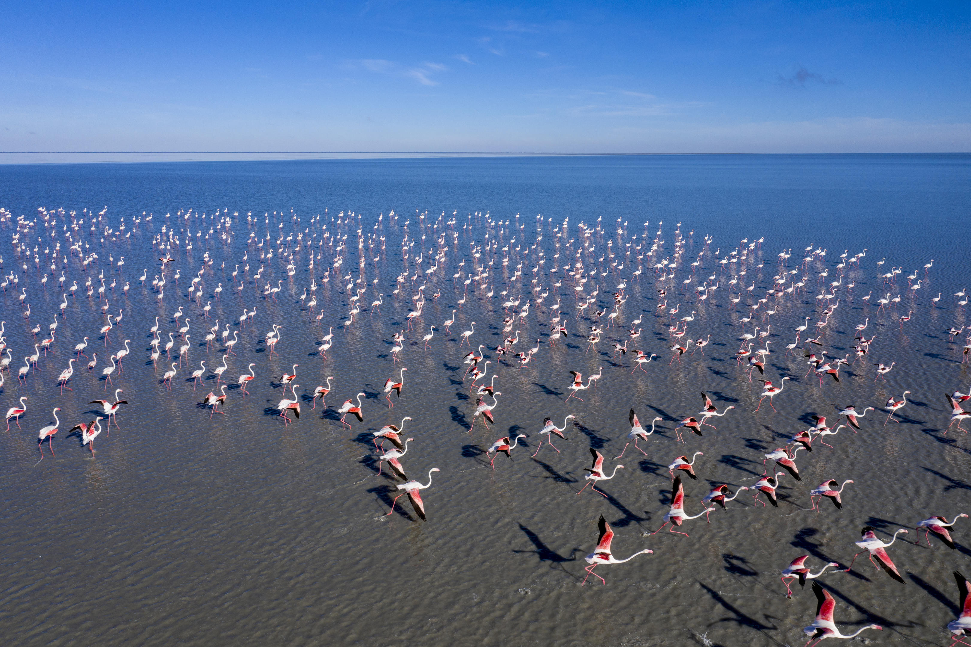 Makgadikgadi Salt Pans