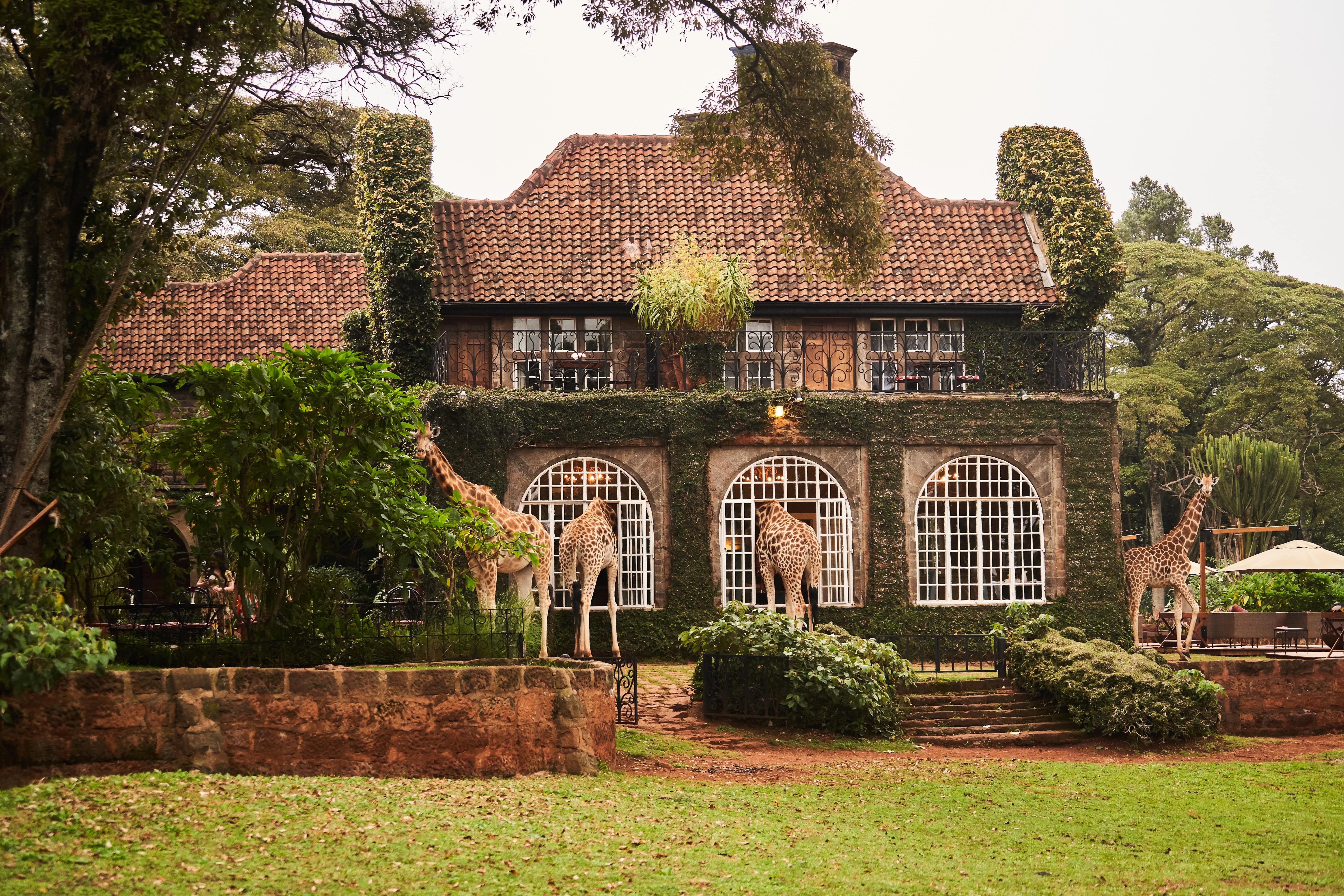Giraffe Manor