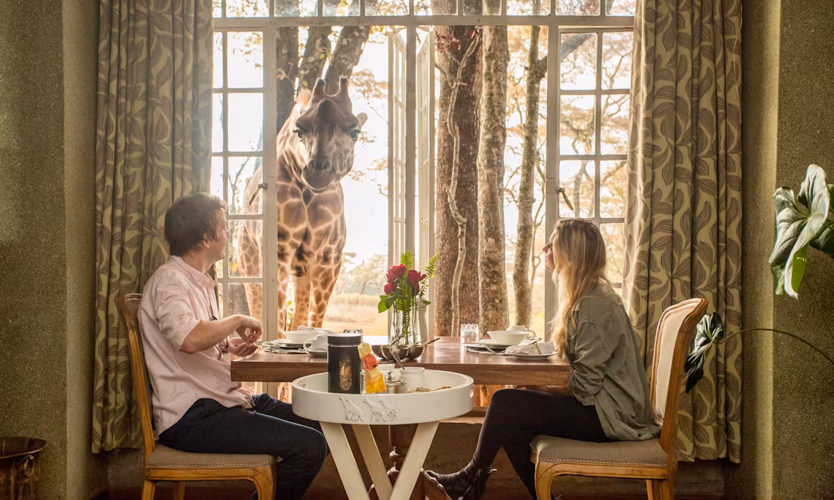 giraffe-manor-6