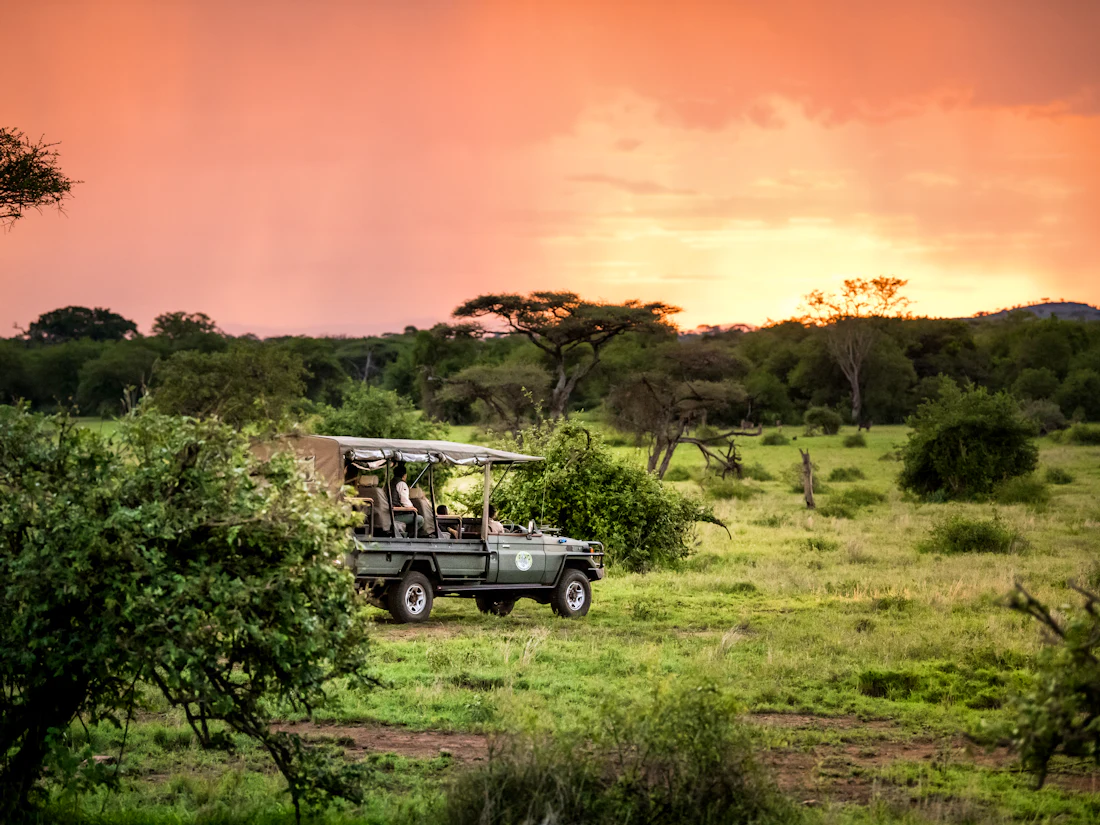 Grumeti Hills, Western Serengeti