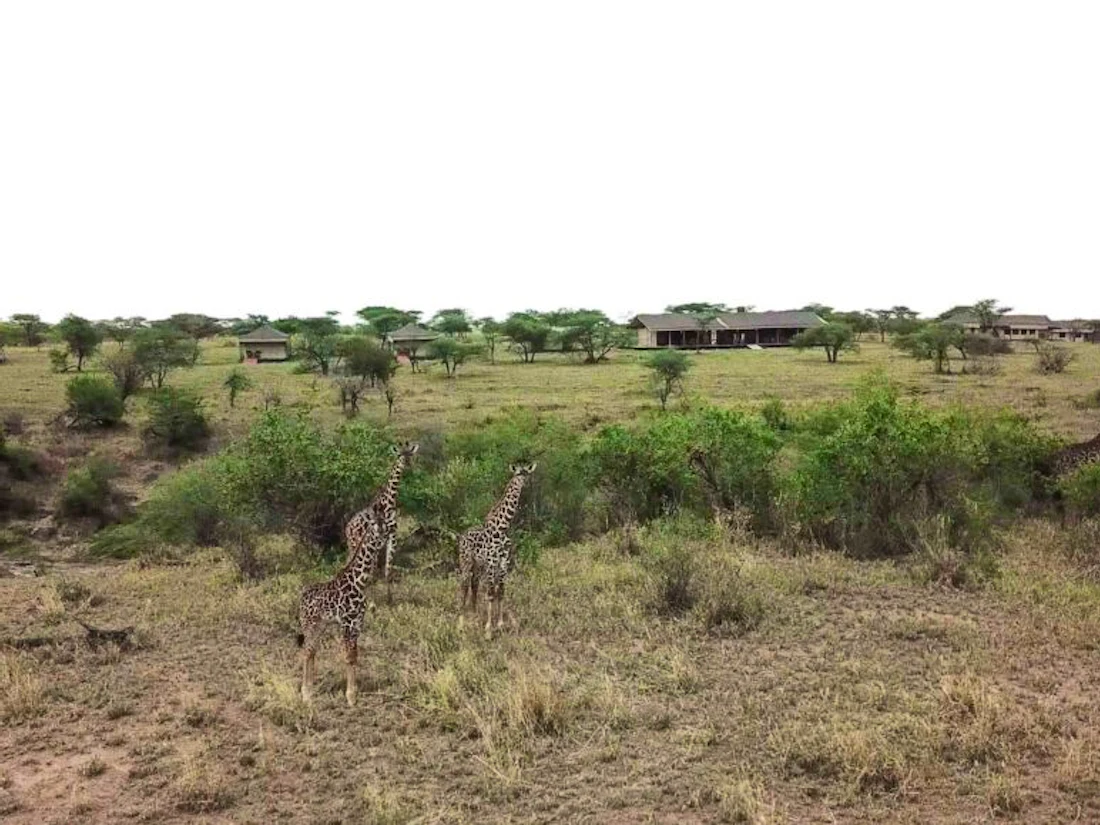Hippo Trails Camp, Serengeti National Park