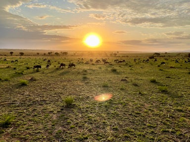 Tanzania Safari & Beach