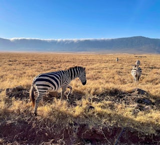 Tanzania Safari & Beach
