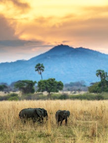 Ruaha National Park
