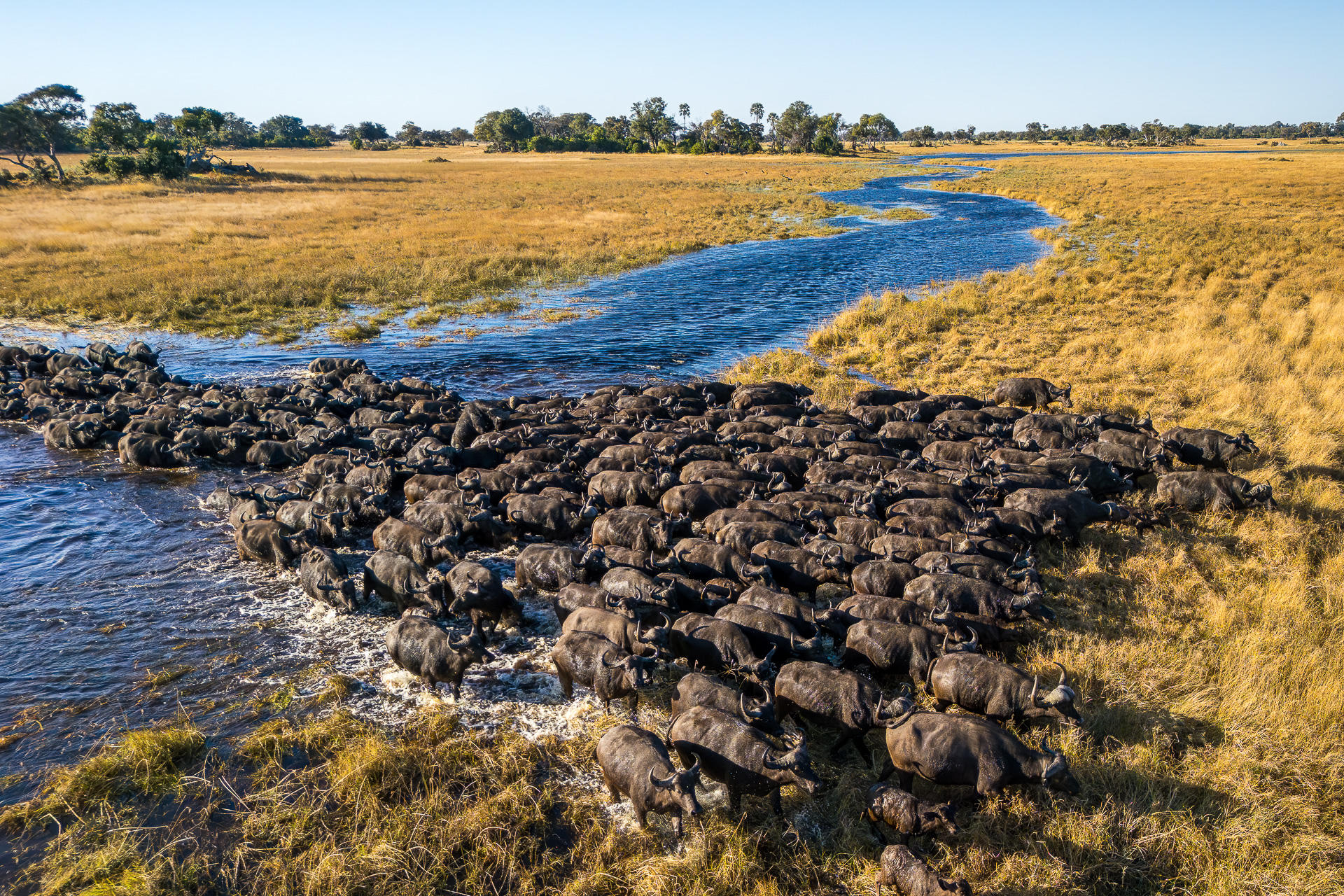 Okavango Delta