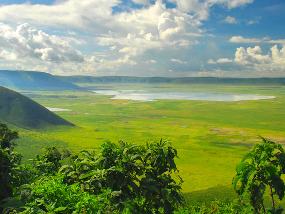 Acacia Farm Lodge, Karatu, Ngorongoro Highlands
