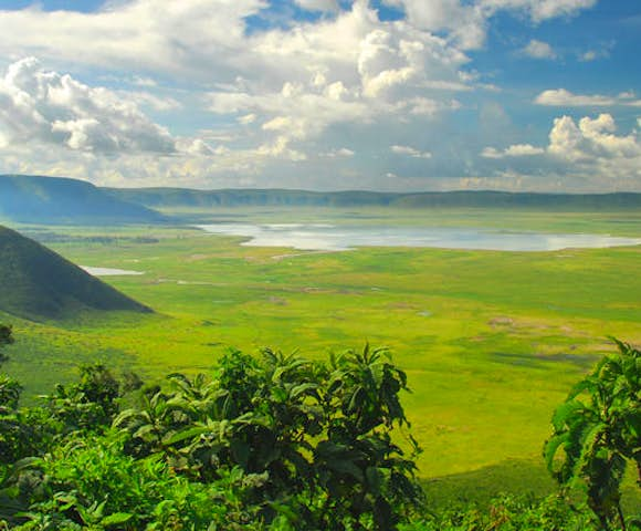 Acacia Farm Lodge