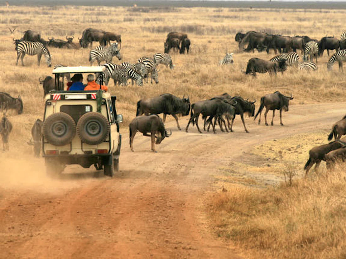 Acacia Farm Lodge, Karatu, Ngorongoro Highlands