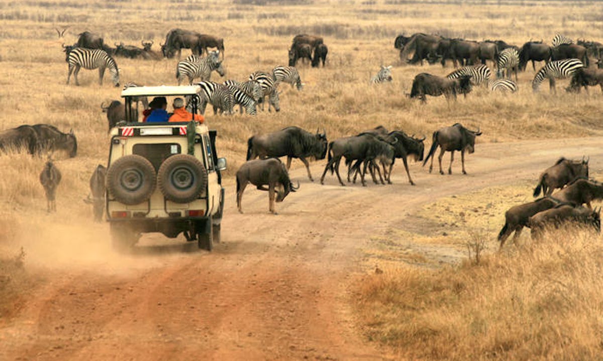 karatu-acacia-farm-lodge