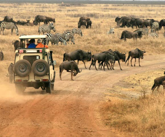 Acacia Farm Lodge