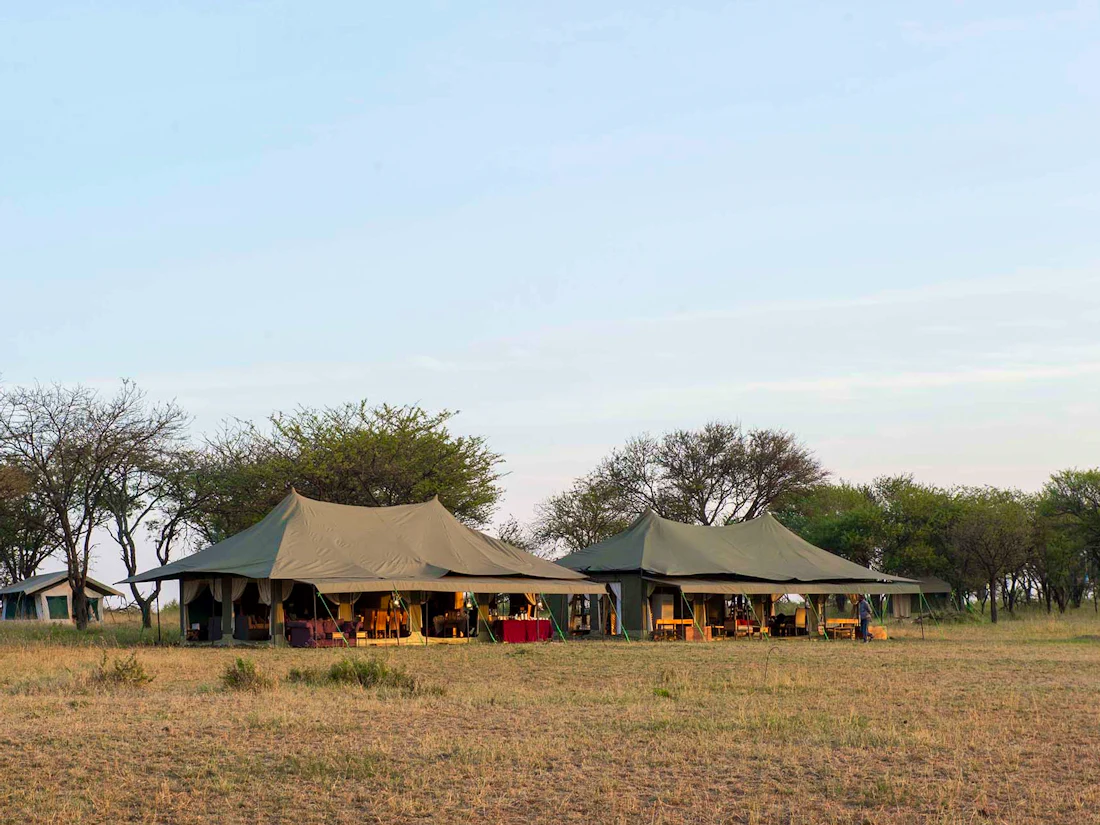Kaskaz Mara Camp, Serengeti National Park