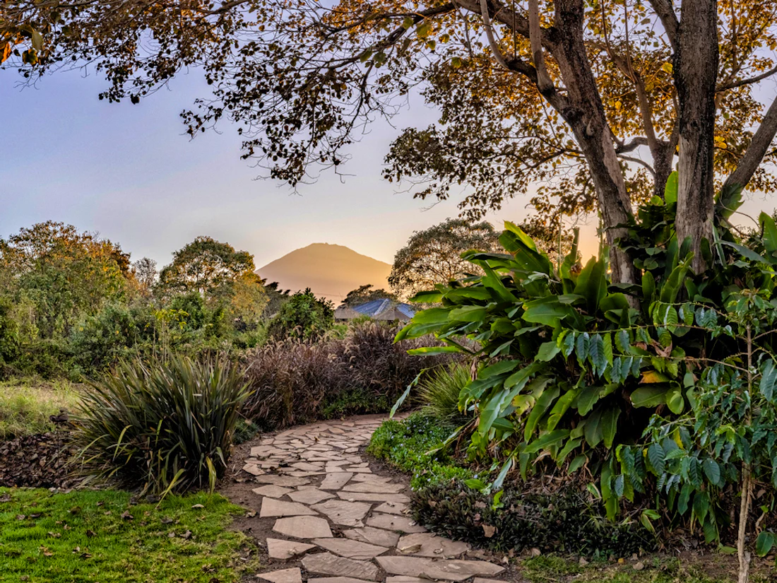 Katambuga House, Arusha