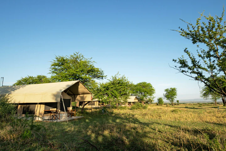 Kati Kati Camp accommodation