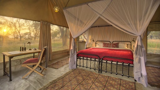 Morning light at Kimondo Migration Camp, Serengeti