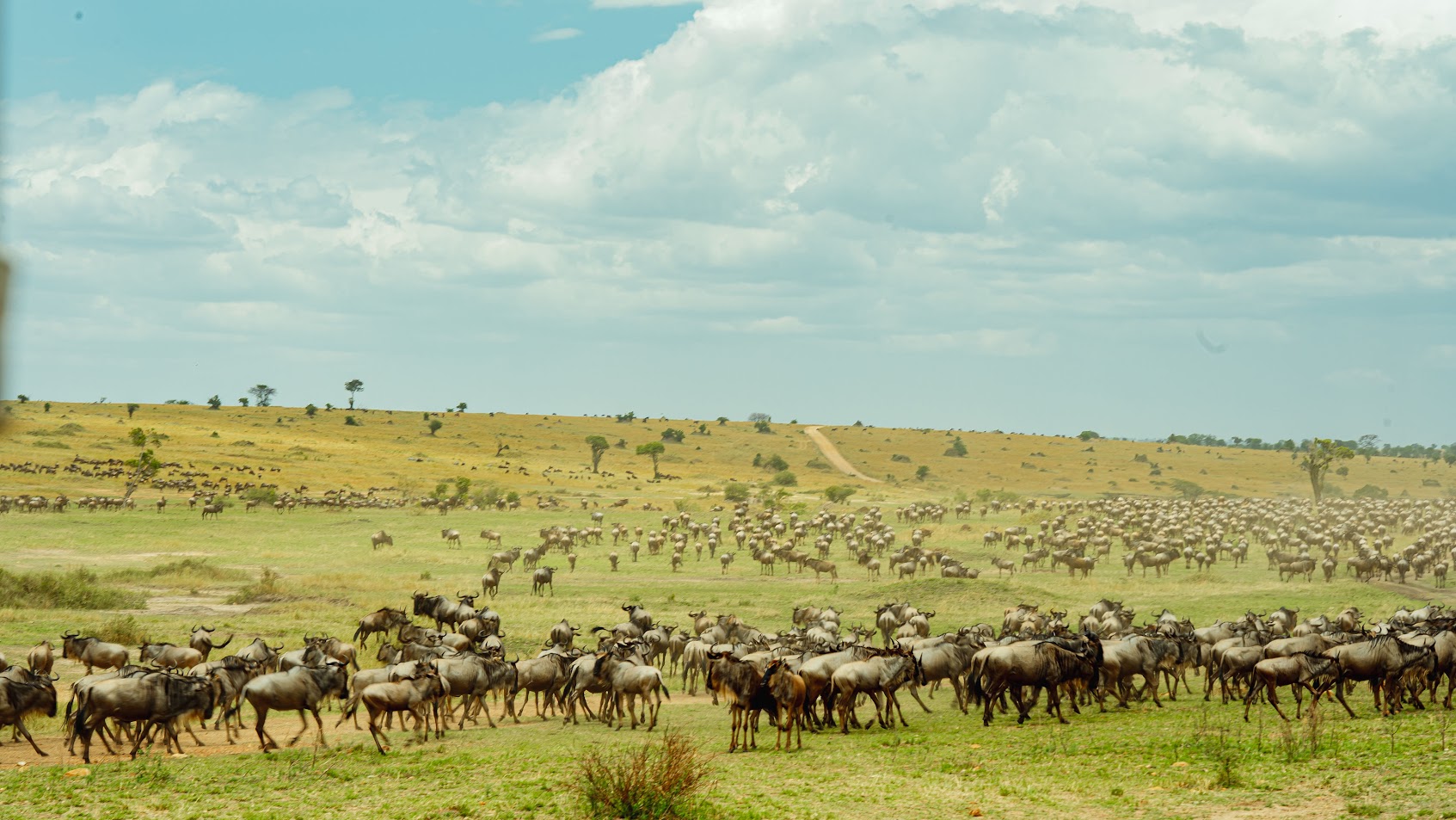 Kirurumu Serengeti North Camp