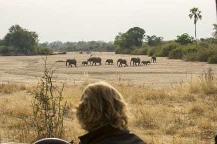 Ruaha National Park