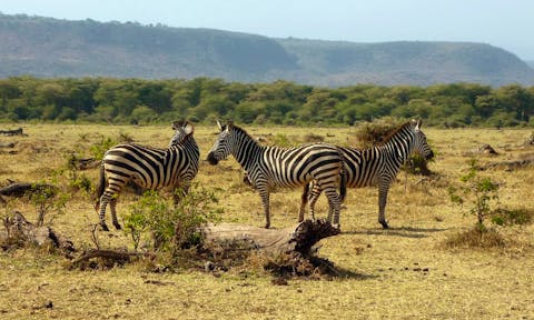 Lake Manyara