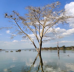 Lakes of Kenya