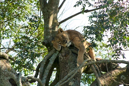 Lake Nakuru National Park