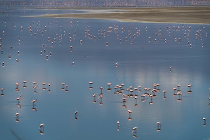 Lake Natron