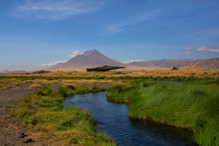 Safari at Lake Natron