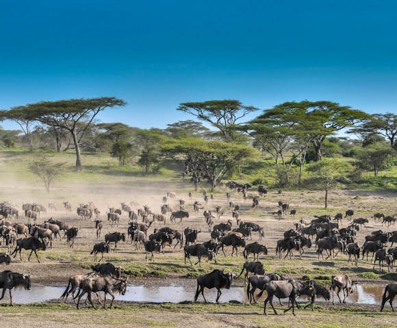 Tanzania Vacation Packages