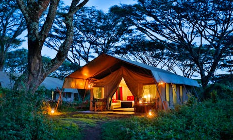 Lemala Ngorongoro