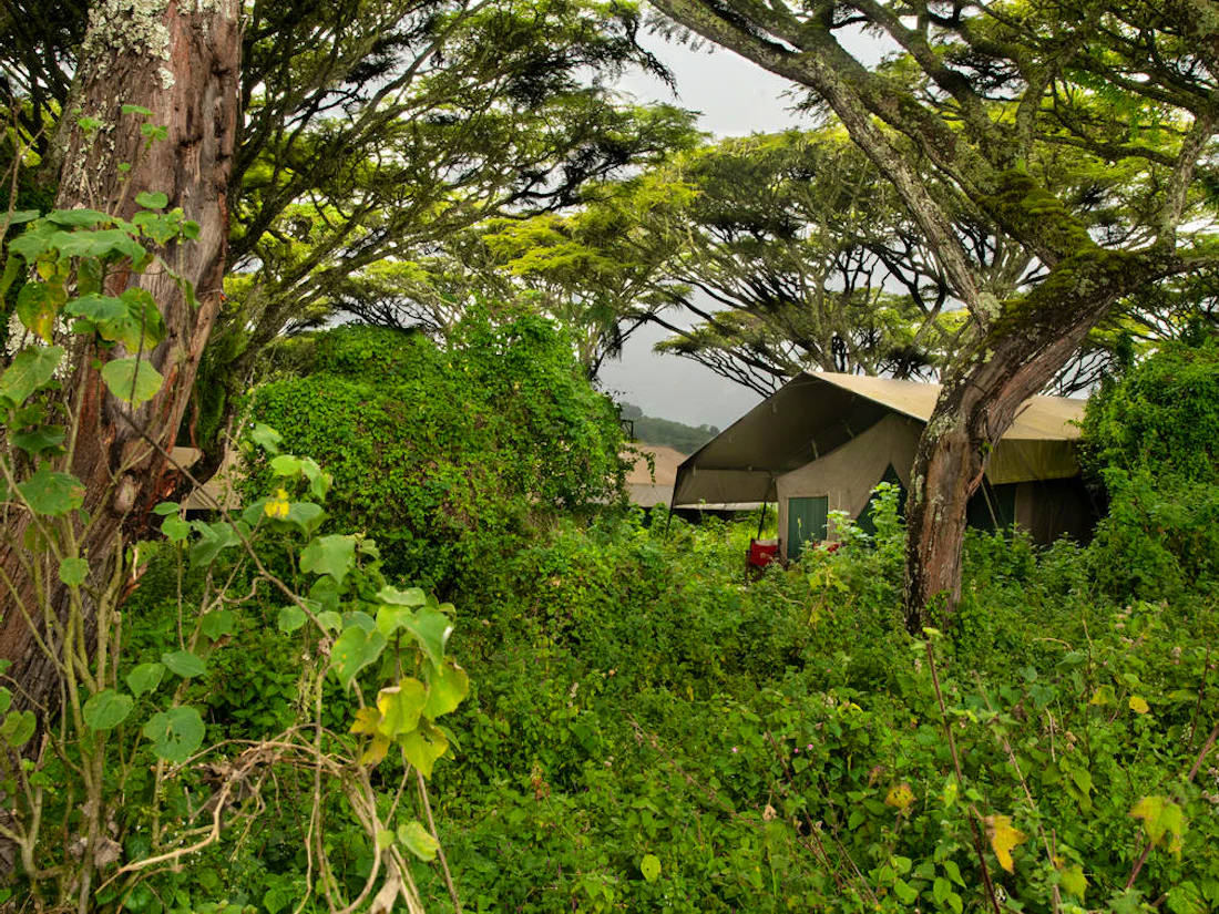 Lemala Ngorongoro, Ngorongoro Conservation Area