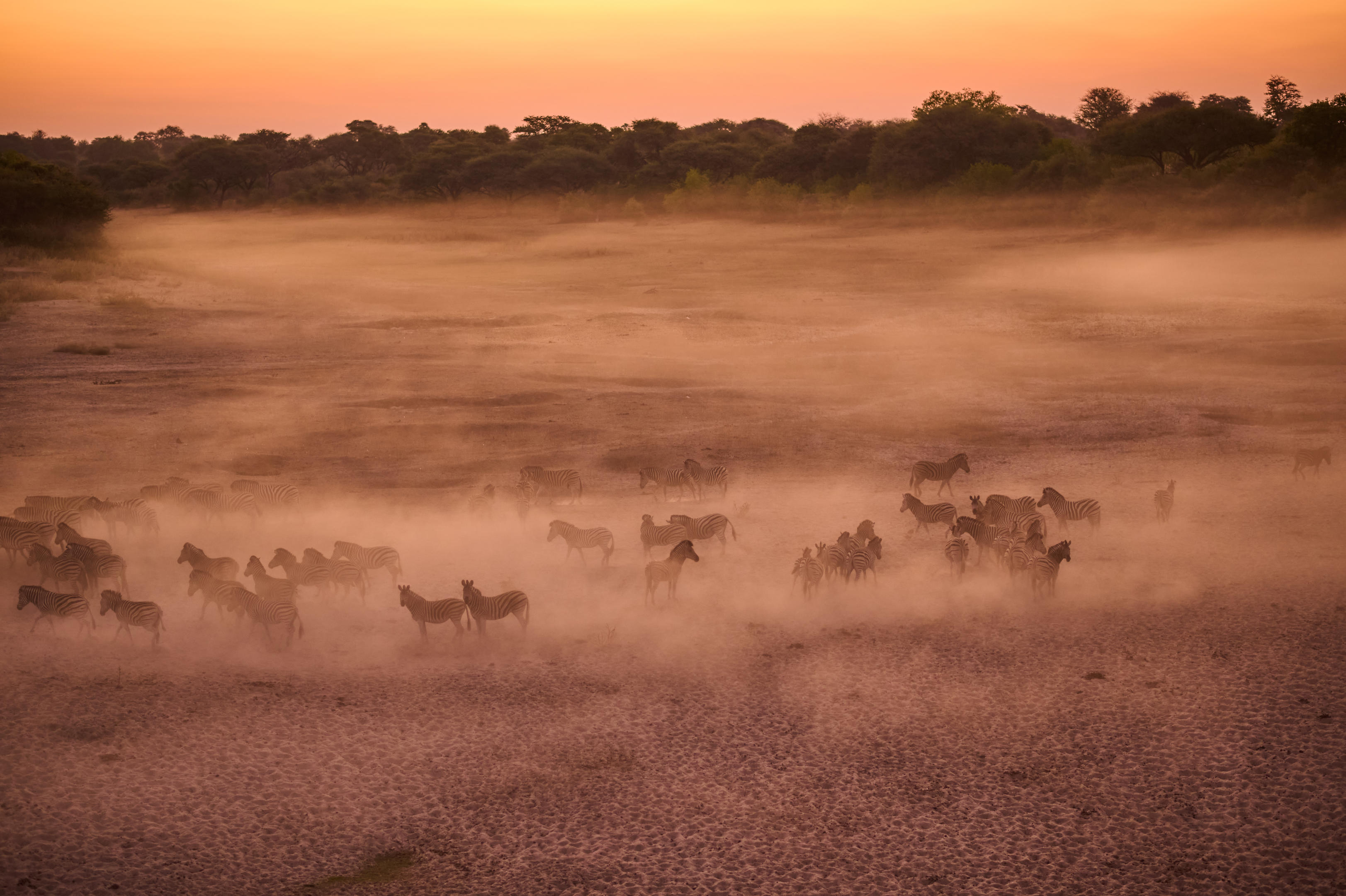 Makgadikgadi Salt Pans