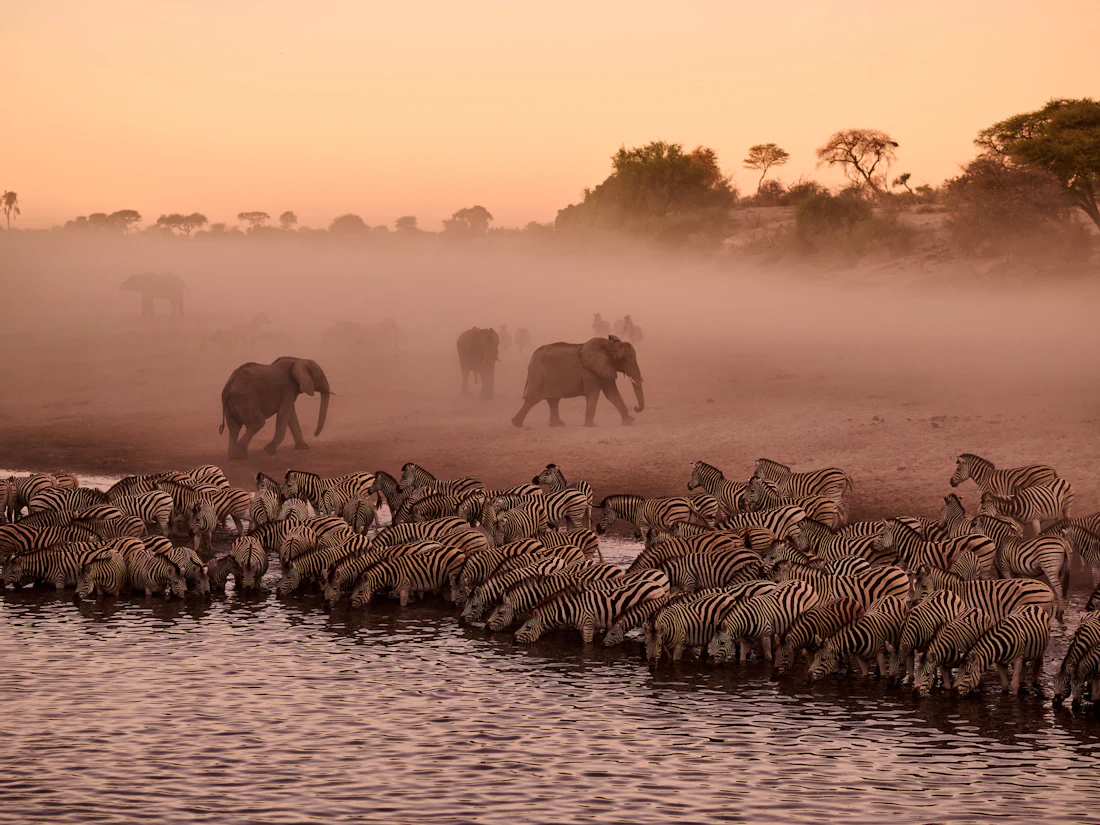The open landscapes of Botswana's Makgadikgadi region